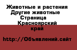 Животные и растения Другие животные - Страница 2 . Красноярский край